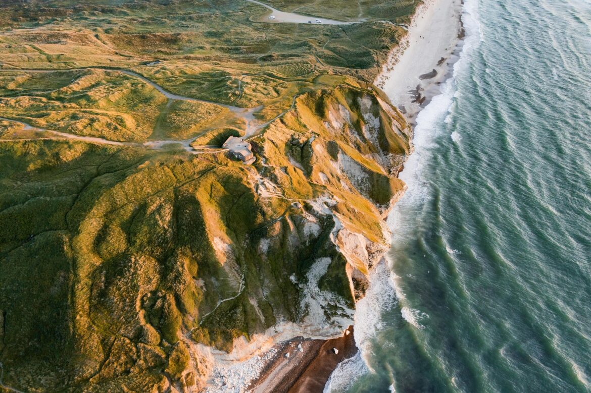 nature-7045133_1920.jpg