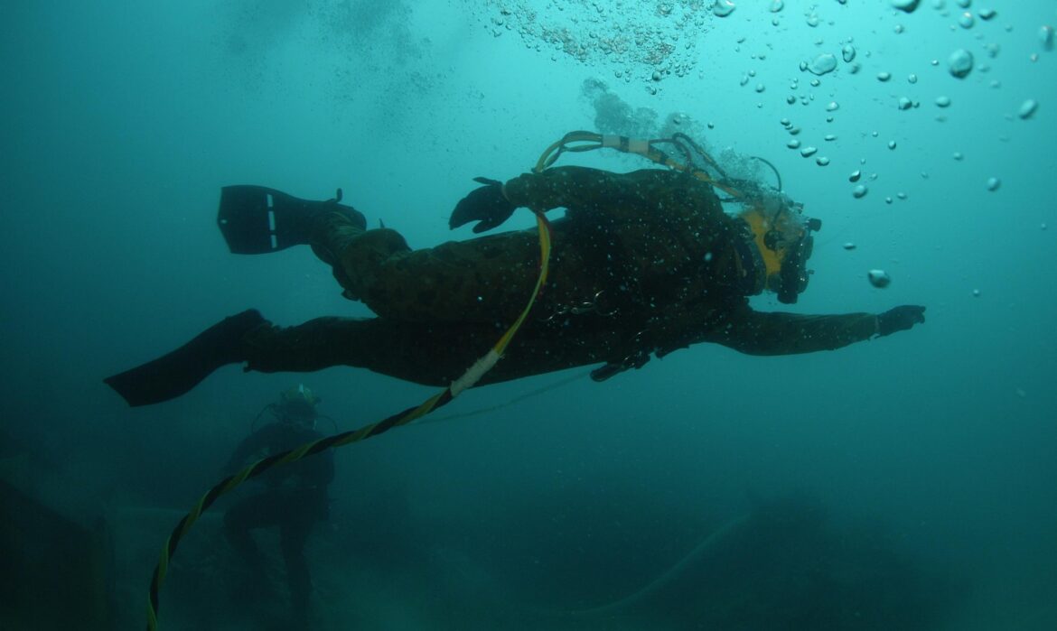 diver-83511_1920.jpg
